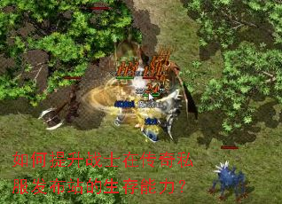 �������սʿ�ڴ���˽������վ������������