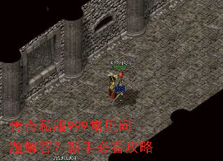 ����˽��999�������������ֱؿ�����