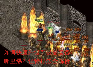 ��ο�����������Ʒװ�����ﱬ�������ȫ����