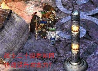 սʿ��ʮ������ο���������������