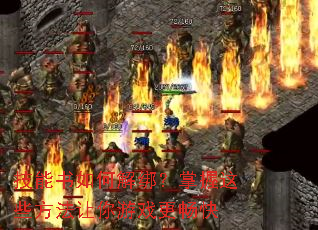 ��������ν��������Щ����������Ϸ������