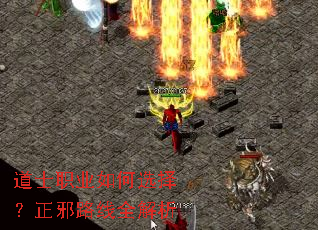 ��ʿְҵ���ѡ����а·��ȫ����