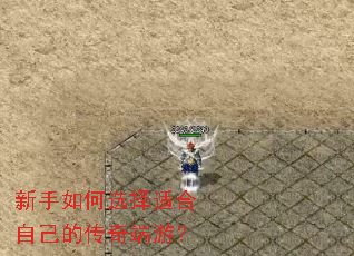 �������ѡ���ʺ��Լ��Ĵ�����Σ�