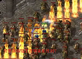 ����๳è�����������ҵ���