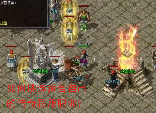 �����ѡ�ʺ��Լ��Ĵ���˽��ְҵ��