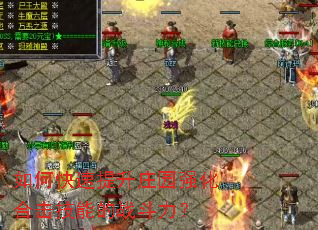 如何快速提升庄园强化合击技能的战斗力? 如何快速提升庄园强化合击技能的战斗力?