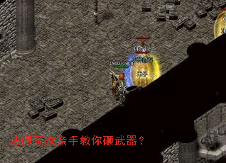 ��ʦ������ֽ�����������