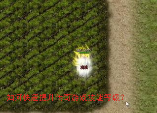 ��ο�������������Ϸ���ܵȼ���