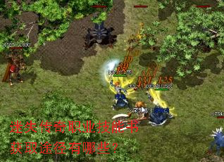 ��ʧ����ְҵ�������ȡ;������Щ��