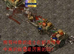 ӵ�����޵ĵ�ʿ���¿���������ľ�������������