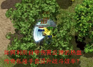 ��������Դ��˺���������Ѫ����˽����������ս��Ч�ʣ�