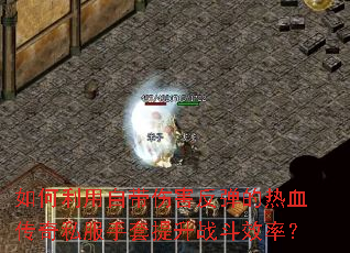 ��������Դ��˺���������Ѫ����˽����������ս��Ч�ʣ�