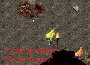 ��ɱ���������������սʿ��ʵս������