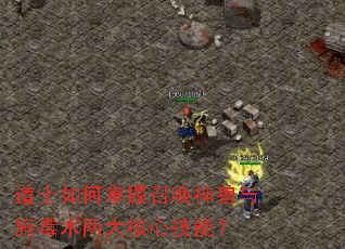 ��ʿ��������ٻ�������ʩ����������ļ��ܣ�