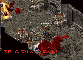 �����ڹ���ʲô�ã���ôѧ��