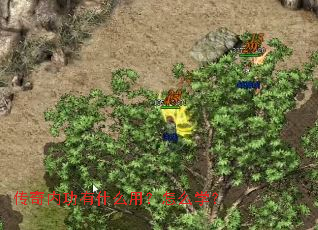 �����ڹ���ʲô�ã���ôѧ��