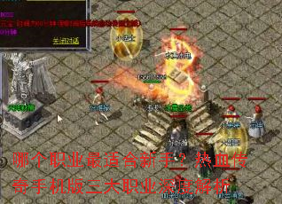 �ĸ�ְҵ���ʺ����֣���Ѫ�����ֻ�������ְҵ��Ƚ���