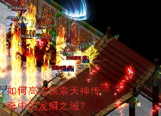 ��θ�Ч̽���������е�����֮��