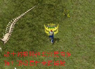 սʿ��������װ�����ж�ǿ����������ȫ�����