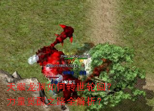 ��ҫ��Ԩ���ת���ֻأ���������֮·ȫ������