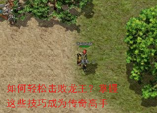 ������ɻ���������������Щ���ɳ�Ϊ�������