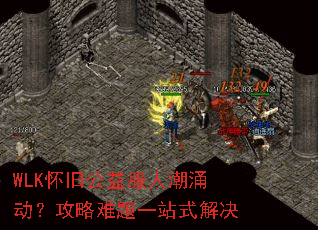 WLK���ɹ�����˳�ӿ������������һվʽ���
