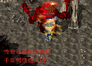 传奇私服体验服新手如何快速入门? 传奇私服体验服新手如何快速入门?