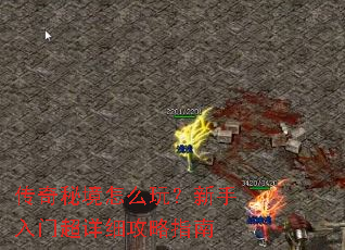 �����ؾ���ô�棿�������ų���ϸ����ָ��