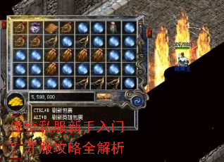 ����˽���������ţ���������ȫ����