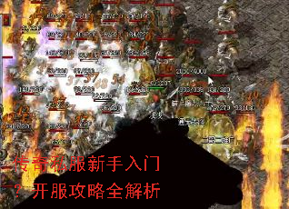 ����˽���������ţ���������ȫ����