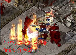 ��ο���������ְҵ����SF��ɫս����