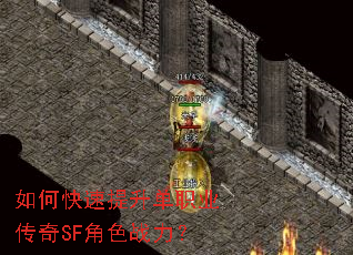 ��ο���������ְҵ����SF��ɫս����