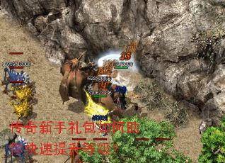 ��������������������������ȼ���