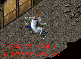 幻境屠龙殿里藏着什么?百倍传奇会员站独家揭秘 幻境屠龙殿里藏着什么?百倍传奇会员站独家揭秘