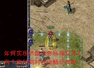 ���ʵ����Ѫ����˽��˫���������˺�ͬʱ���߳��湥��