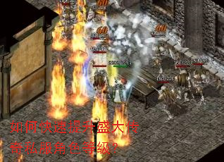 ��ο�������ʢ����˽����ɫ�ȼ���