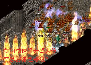 ��ο�������ʢ����˽����ɫ�ȼ���