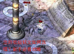 ��ʦ�ͼ��������ѡ�����ֱؿ�����