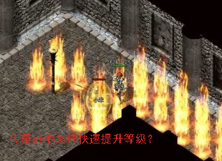 ����sf���������������ȼ���