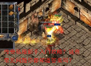 ����˽���������Ź��ԣ���Щ���������㶼֪������