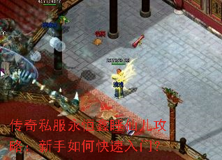 传奇私服永恒鑫睡仙儿攻略:新手如何快速入门? 传奇私服永恒鑫睡仙儿攻略:新手如何快速入门?