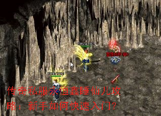 传奇私服永恒鑫睡仙儿攻略:新手如何快速入门? 传奇私服永恒鑫睡仙儿攻略:新手如何快速入门?