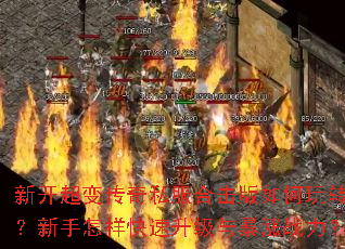 �¿����䴫��˽���ϻ��������ת�������������������뱩��ս����