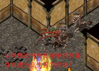 �����ս����˽������Щ��߸�������˺��Ĺ��