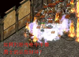 ����жϴ����а�����ʿ��Ʒ�ʺû���