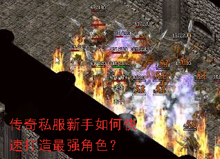 ����˽��������ο��ٴ�����ǿ��ɫ��