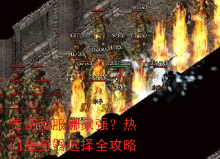 ����˽���ļ�ǿ�����ŷ�����ѡ��ȫ����