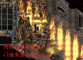 ����˽���ļ�ǿ�����ŷ�����ѡ��ȫ����