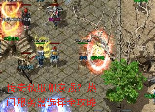 ����˽���ļ�ǿ�����ŷ�����ѡ��ȫ����