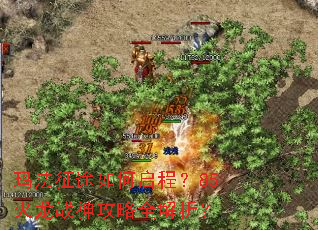 �귨��;������̣�85����ս����ȫ������